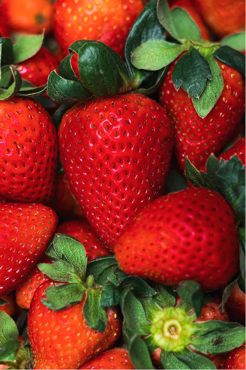 Fresas frescas Central Foods Cancún por Creative Lab